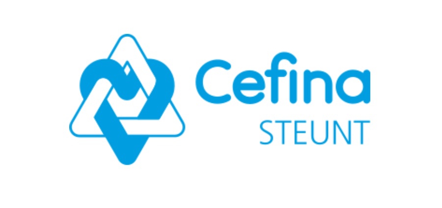 Logo Cefina