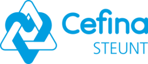 Logo Cefina